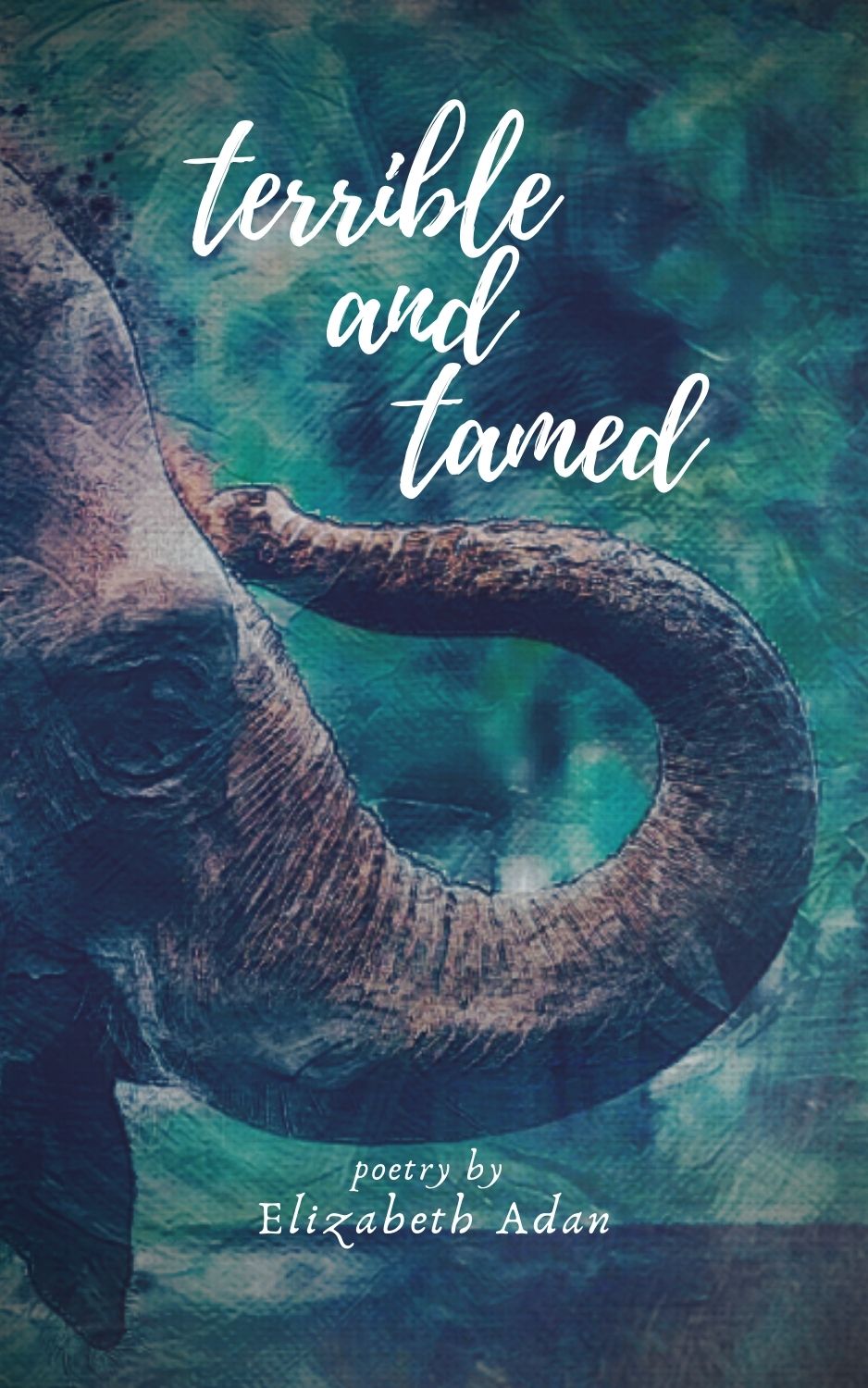 Copy of TerribleAndTamed.BookCover.11.7.2019